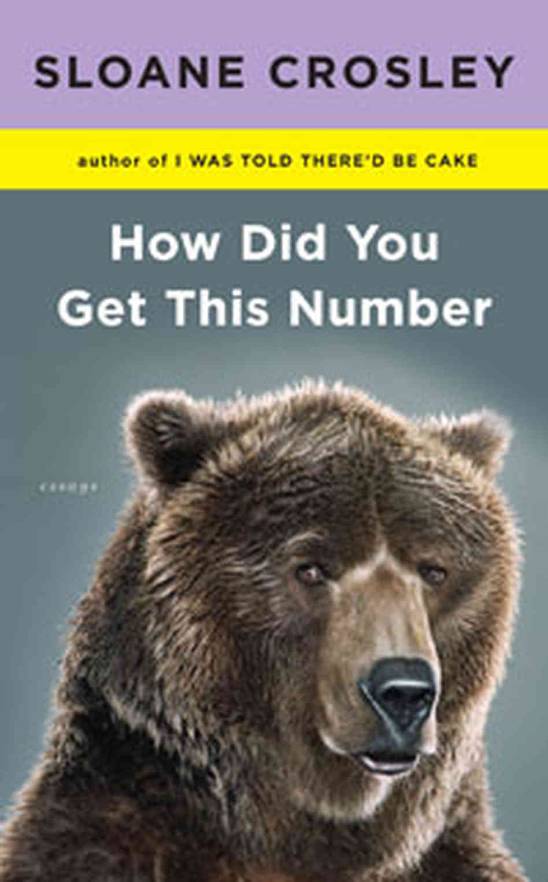 How did you get this number by Sloane Crosley(cover image)