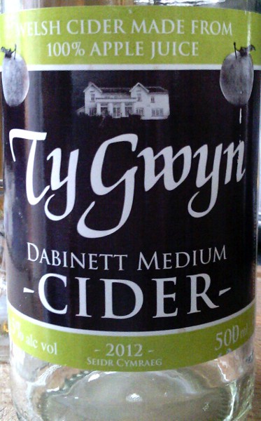 Review &mdash; Ty Gwyn Medium Dabinett Welsh Cider cover image